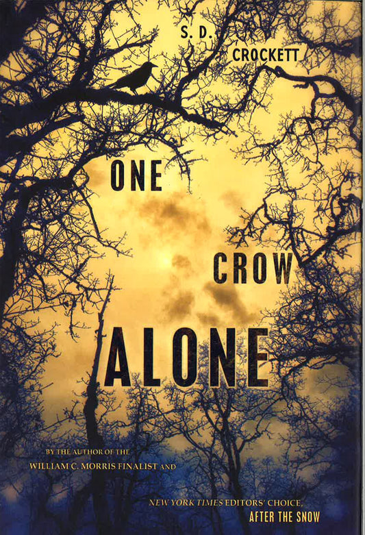 One Crow Alone