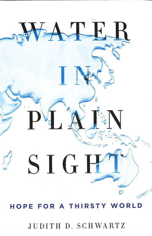 Water In Plain Sight