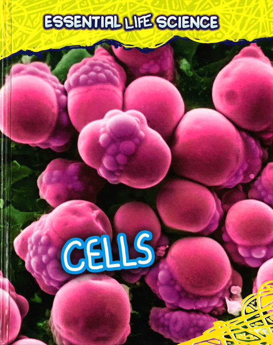 Cells