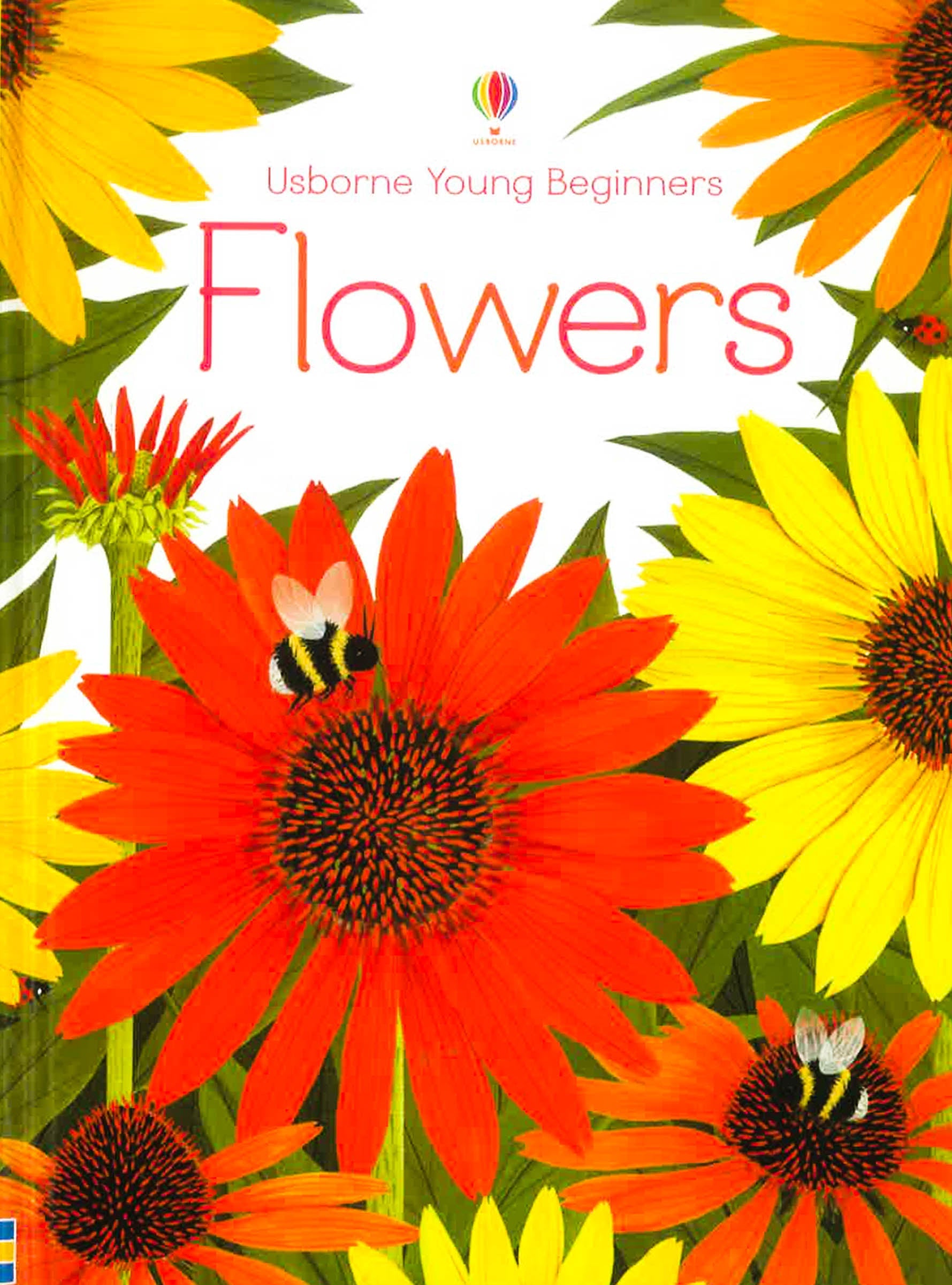 Usborne Young Beginners: Flowers – BookXcess