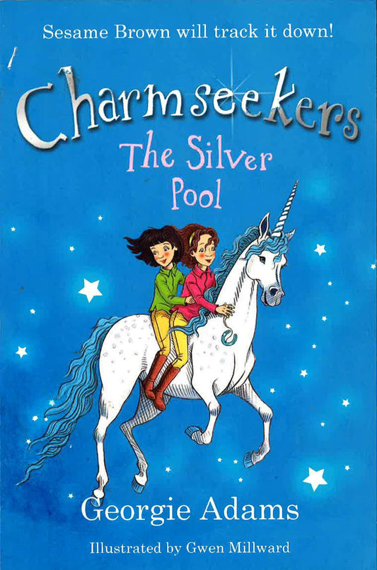 Charmseekers The Silver Pool