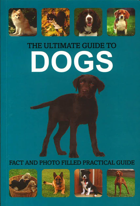 The Ultimate Guide To Dogs