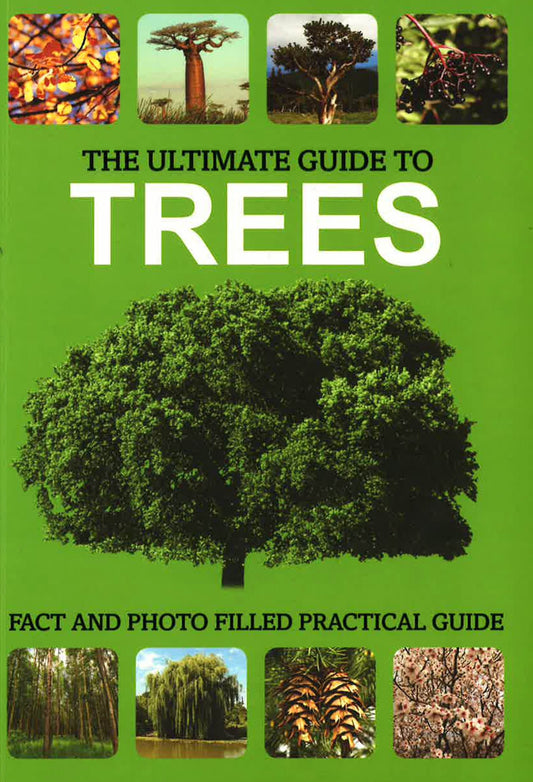 The Ultimate Guide To Trees