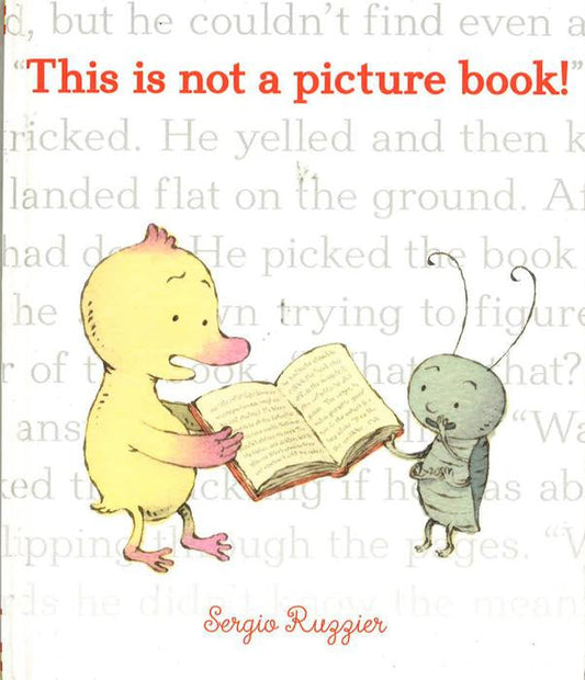 This Is Not A Picture Book