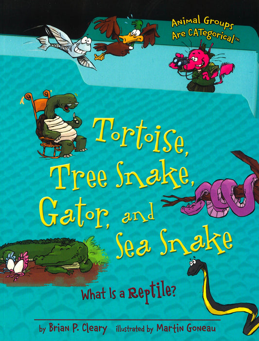 Tortoise, Tree Snake, Gator, And Sea Snake