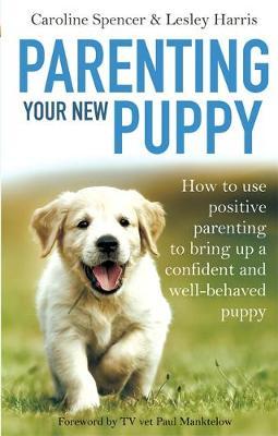 Parenting Your New Puppy: How To Use Positive Parenting To Bring Up A Confident And Well-Behaved Puppy