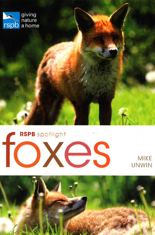 Rspb Spotlight: Foxes