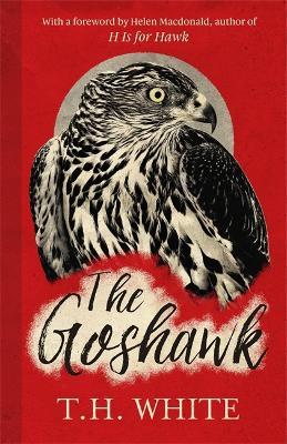 The Goshawk