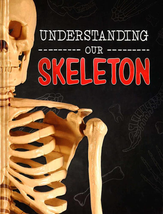 Understanding Our Skeleton