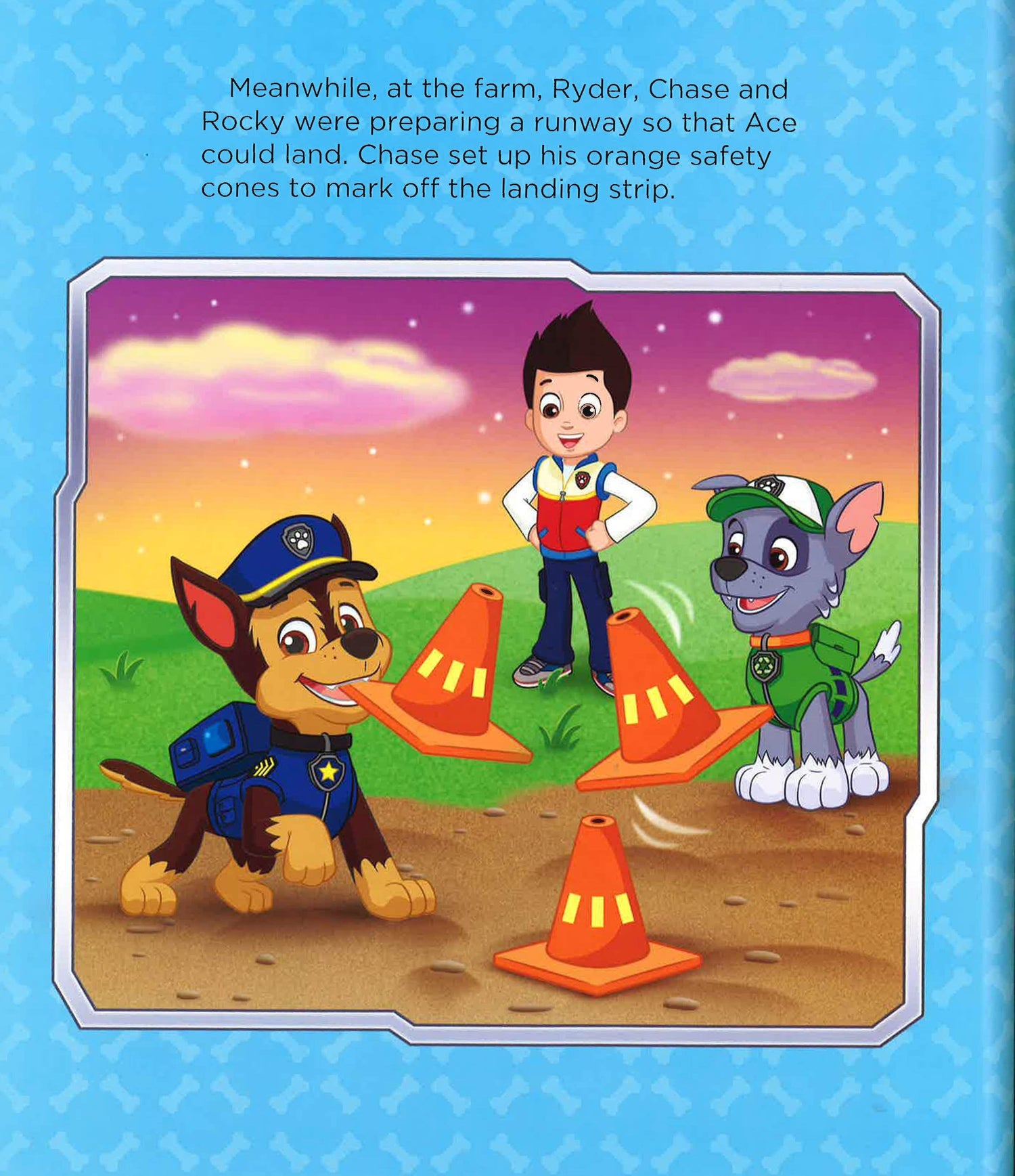 Paw Patrol Skye's Got To Fly – BookXcess