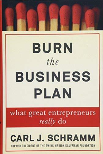 Burn The Business Plan: What Great Entrepreneurs Really Do