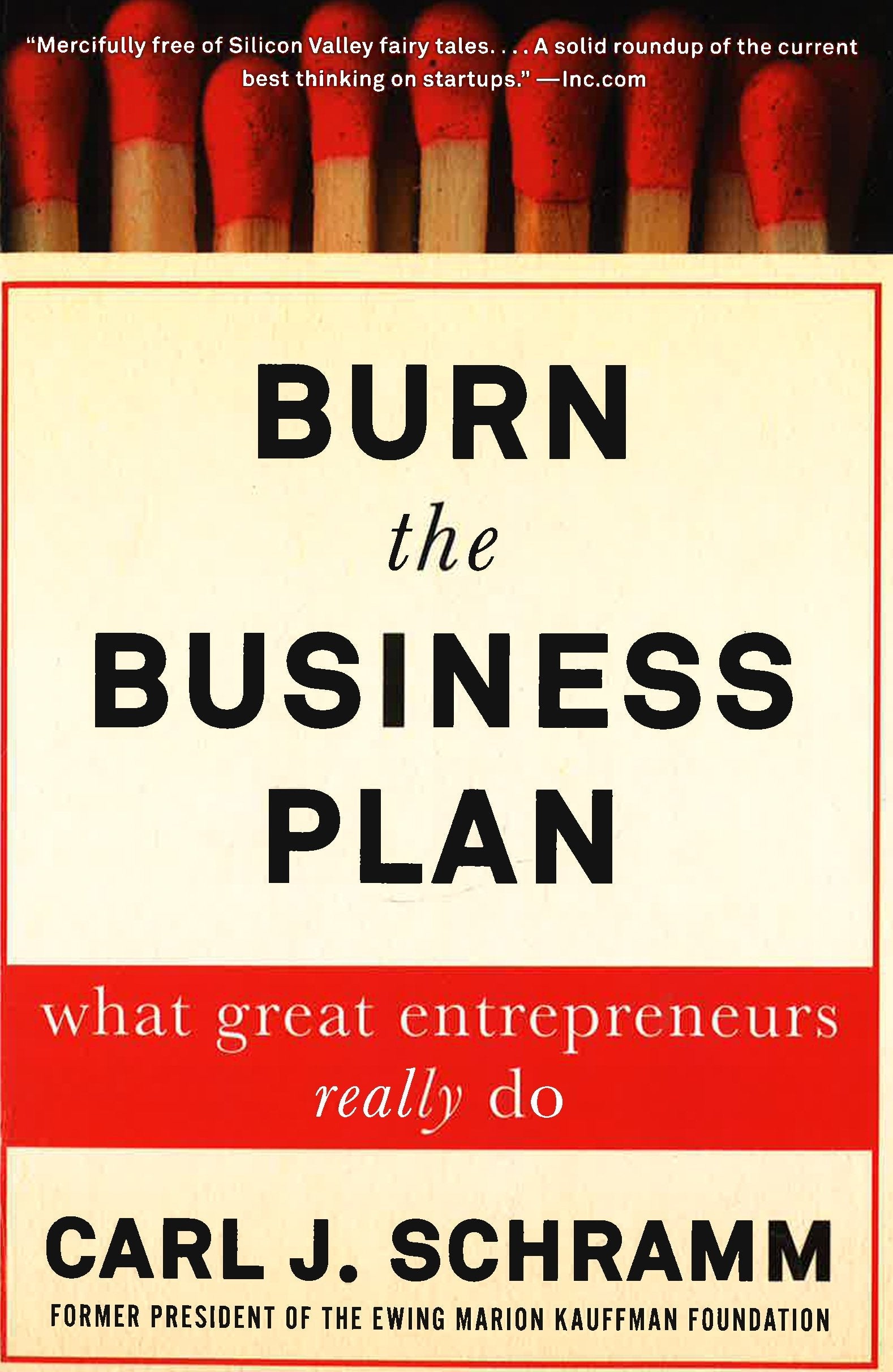 burn the business plan what great entrepreneurs really do