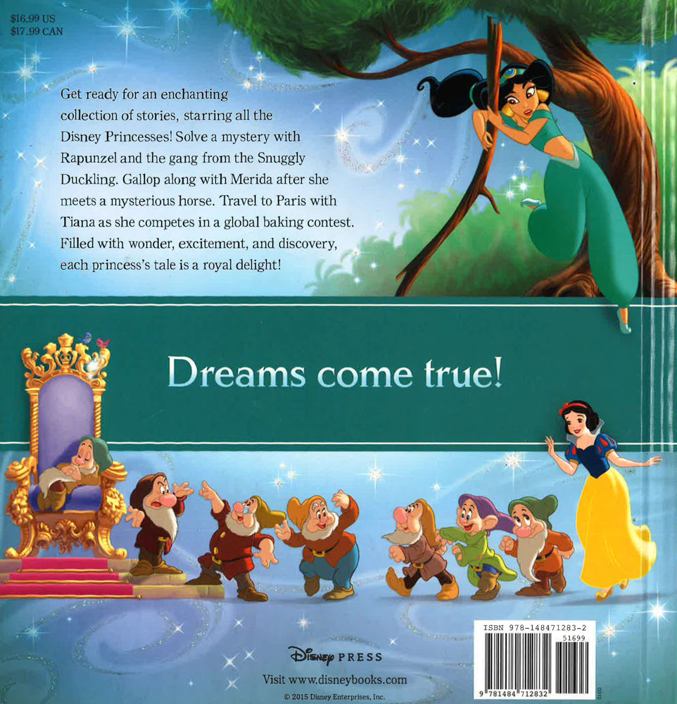 Disney Princess Storybook Collection 4th Edition Bookxcess 
