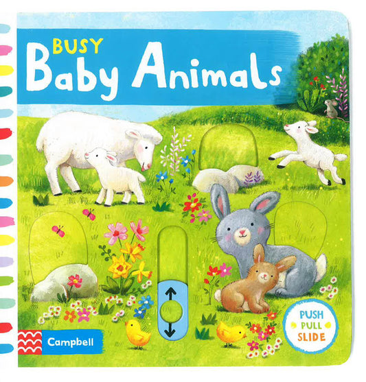 Busy Baby Animals