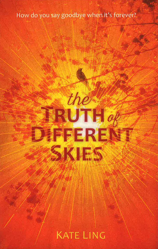 The Truth Of Different Skies