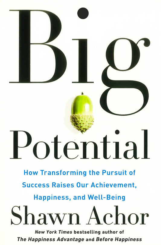 Big Potential: How Transforming The Pursuit Of Success Raises Our Achievement, Happiness, And Well-Being