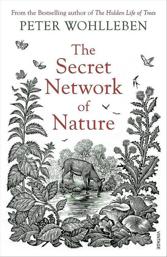 The Secret Network Of Nature