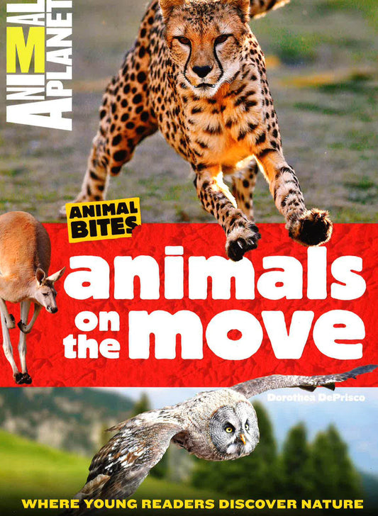 Animal Planet - Animals On The Move