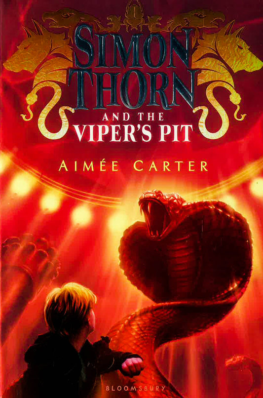 Simon Thorn And The Viper's Pit