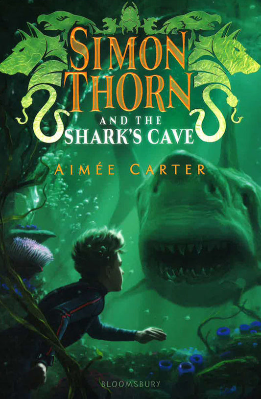 Simon Thorn And The Shark's Cave