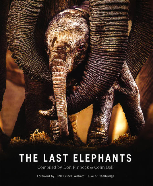 The Last Elephants