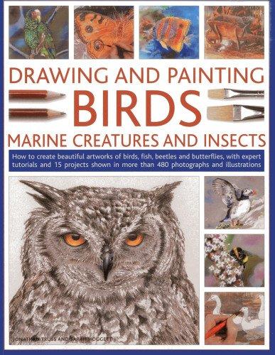 Drawing And Painting Birds, Marine Creatures And Insects