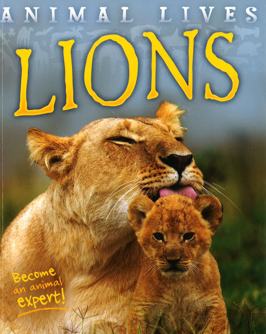 Animal Lives - Lions