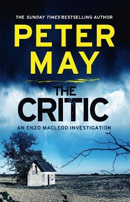 The Critic: A tantalising cold-case murder mystery (The Enzo Files Book 2)