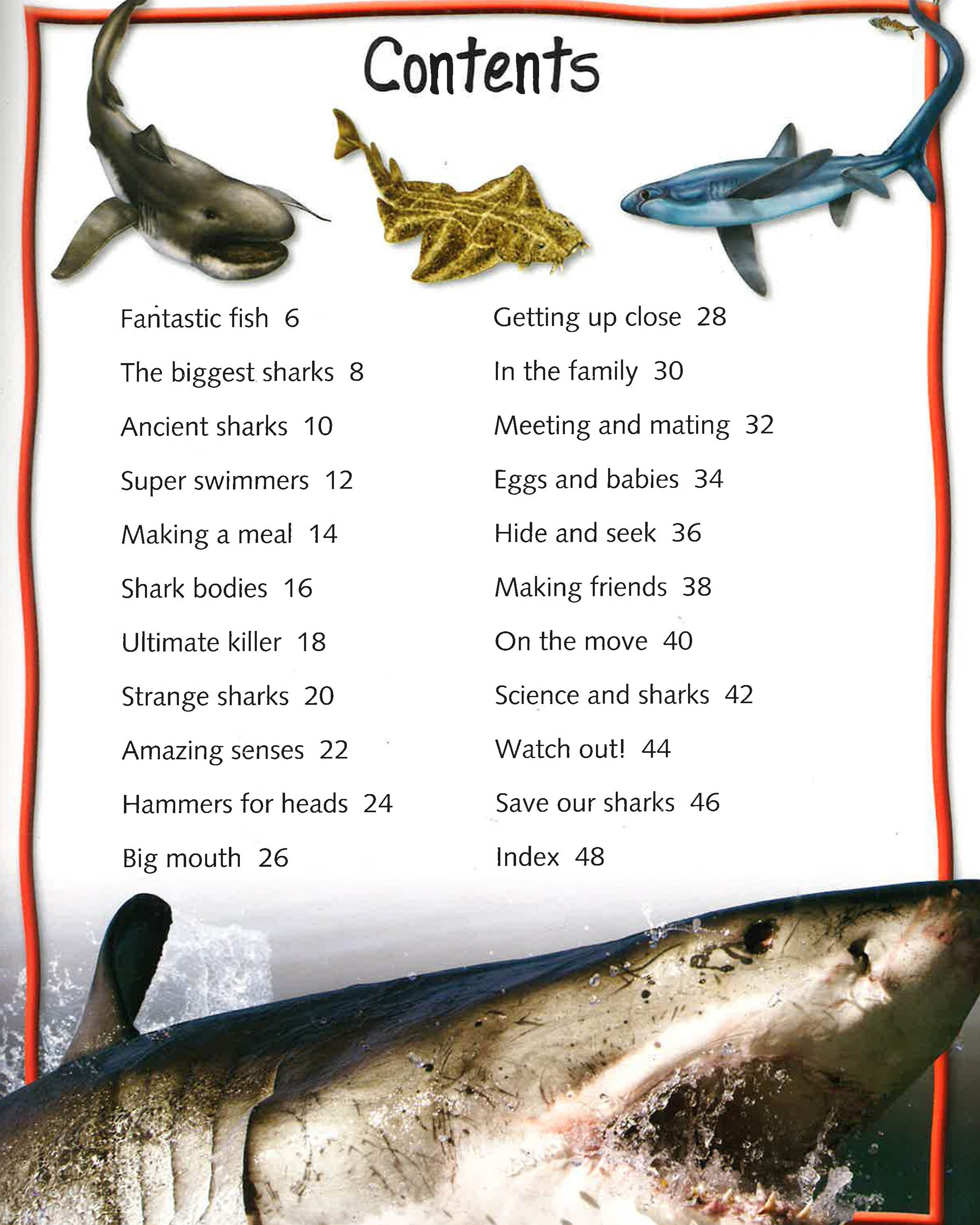 100 Facts Sharks – BookXcess
