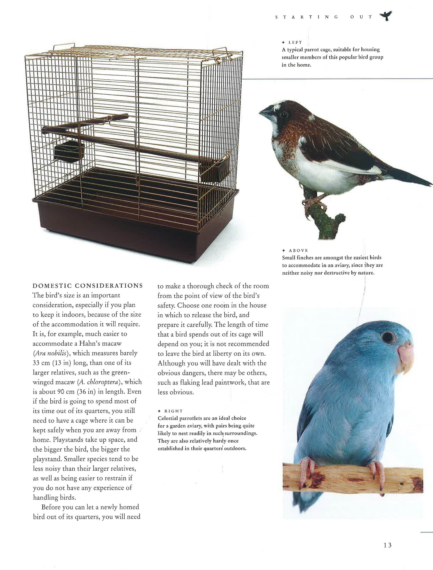 定期販売 DISEASES OF CAGE AND AVIARY BIRDS レア本 | modern-line.hr