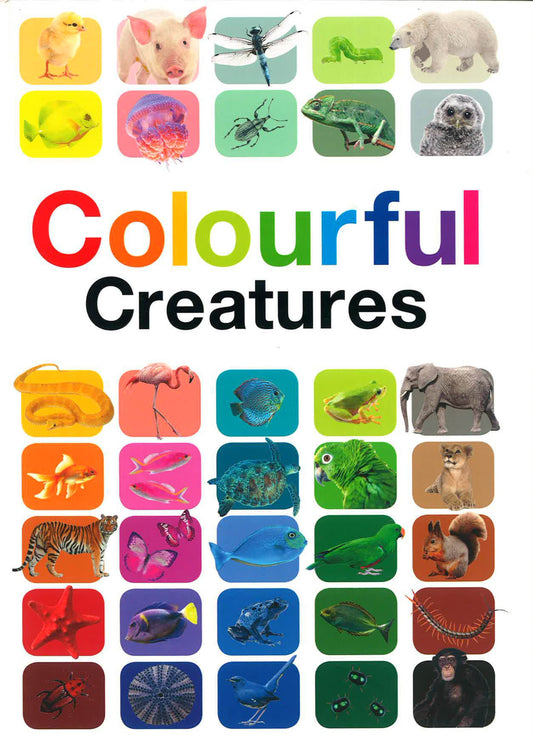 Colourful Creatures