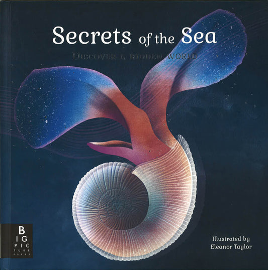 Secrets Of The Sea - Discover A Hidden World