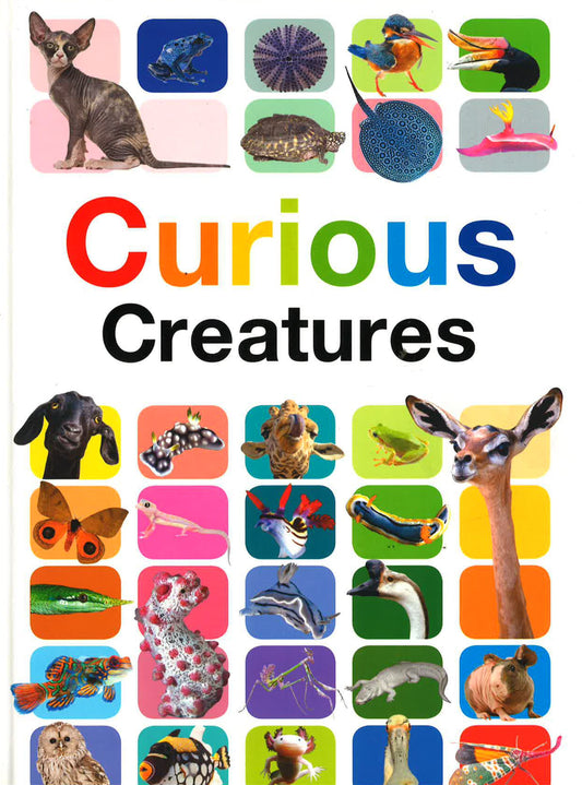 Curious Creatures