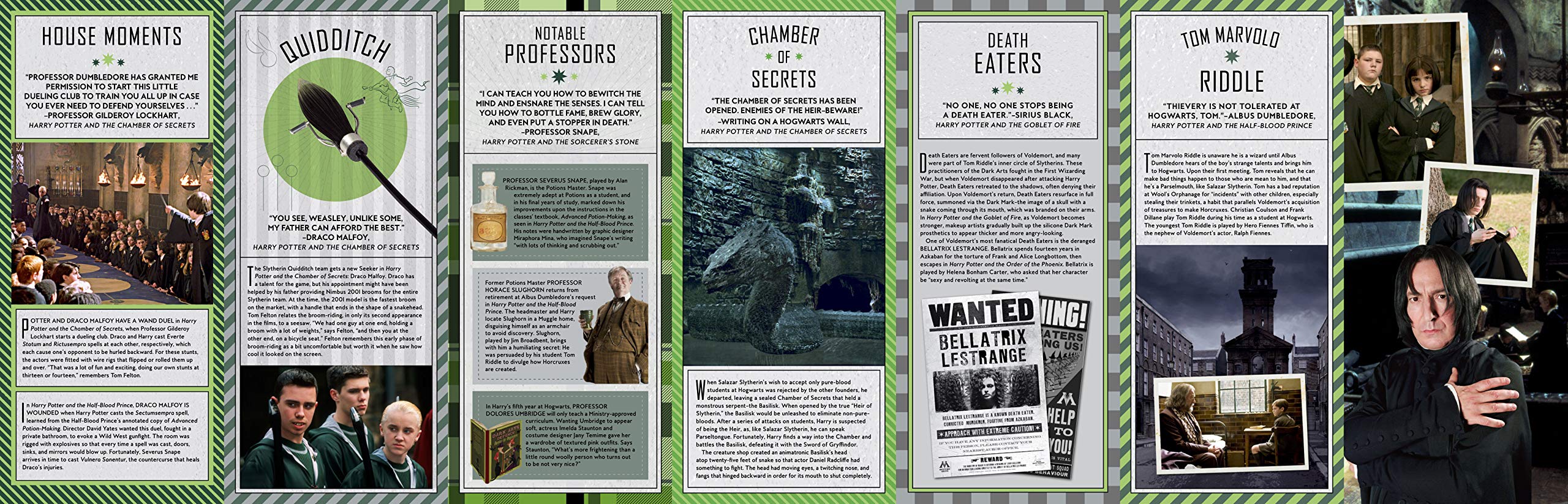Harry Potter: Slytherin Magic - Book Summary & Video, Official Publisher  Page