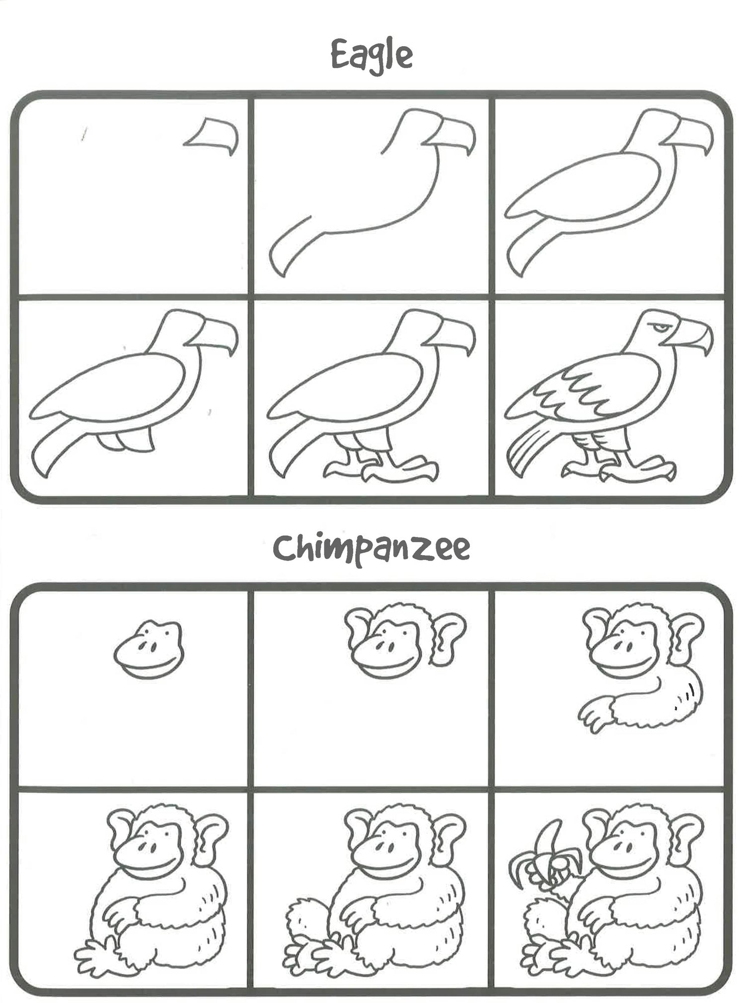 How To Draw 101 Animals BookXcess