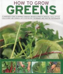 How To Grow Greens