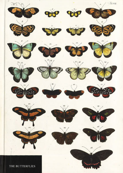 Natural History Museum Butterflies Notebook