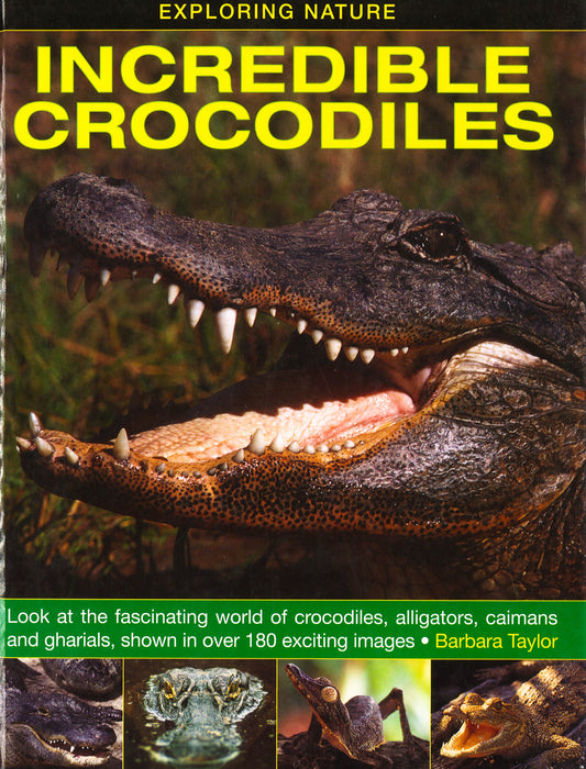 Exploring Nature : Incredible Crocodiles