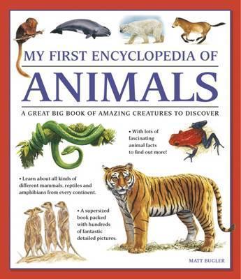My First Encylopedia Of Animals:A First