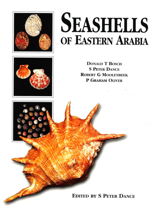 Seashells Of Eastern Arabia
