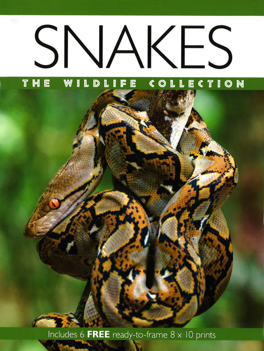 Snakes - The Wildlife Collection