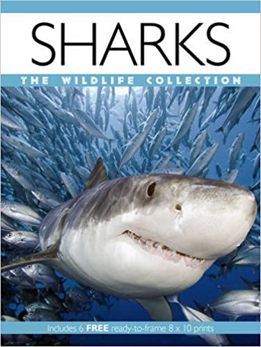 Sharks-The Wildlife Collection (Print Pack)