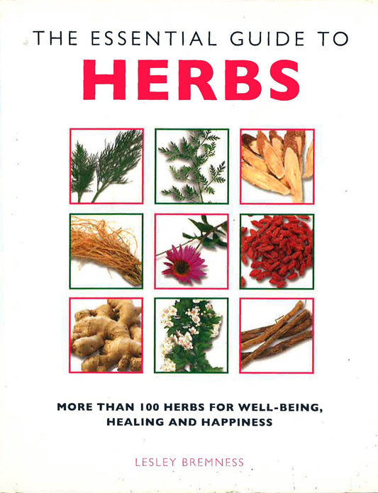 The Essential Guide To Herbs