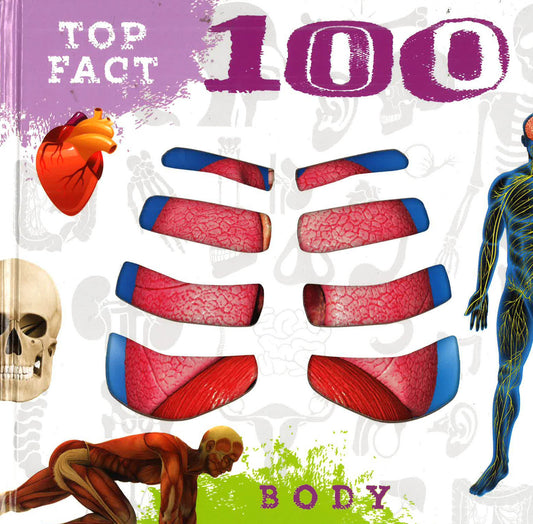 Body (Top 100 Facts)