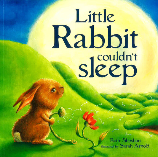 Little Rabbit Couldn't Sleep