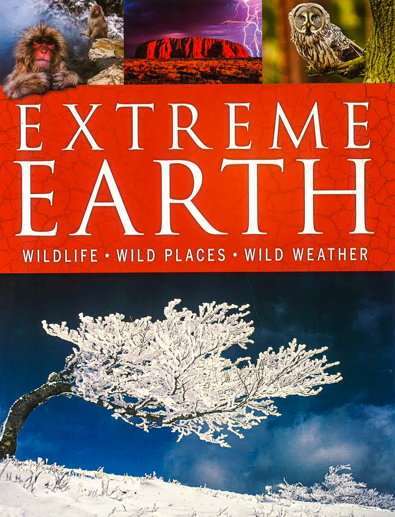 Extreme Earth: Wildlife Places. Wild Weather – BookXcess