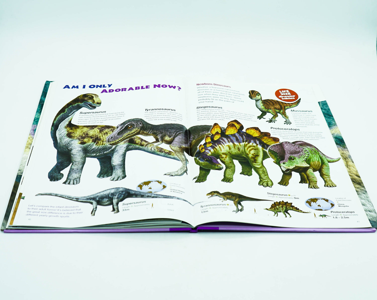 Life-Size Dinosaurs – BookXcess