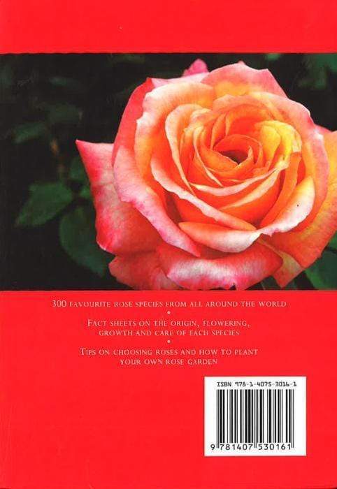 A Concise Guide To Roses