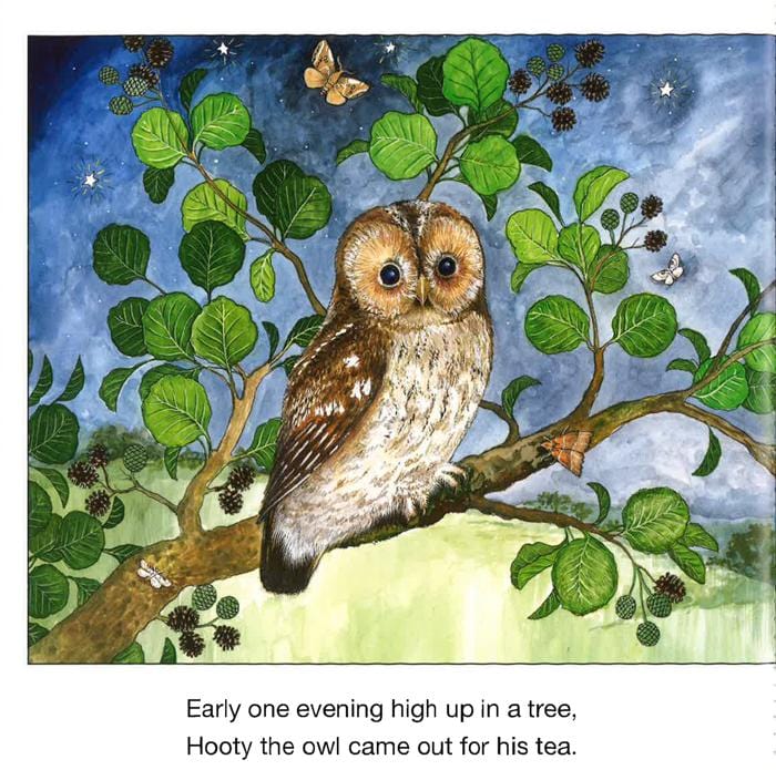 A Little Owl Called Hooty