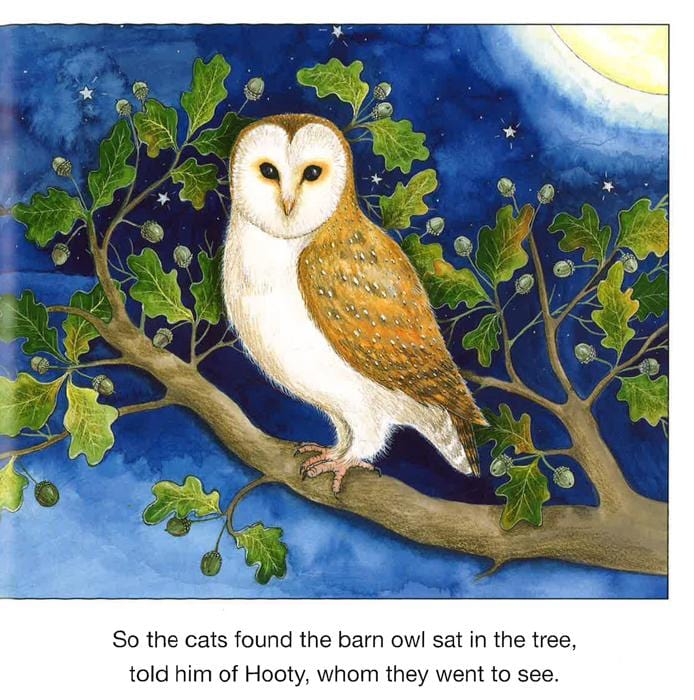 A Little Owl Called Hooty